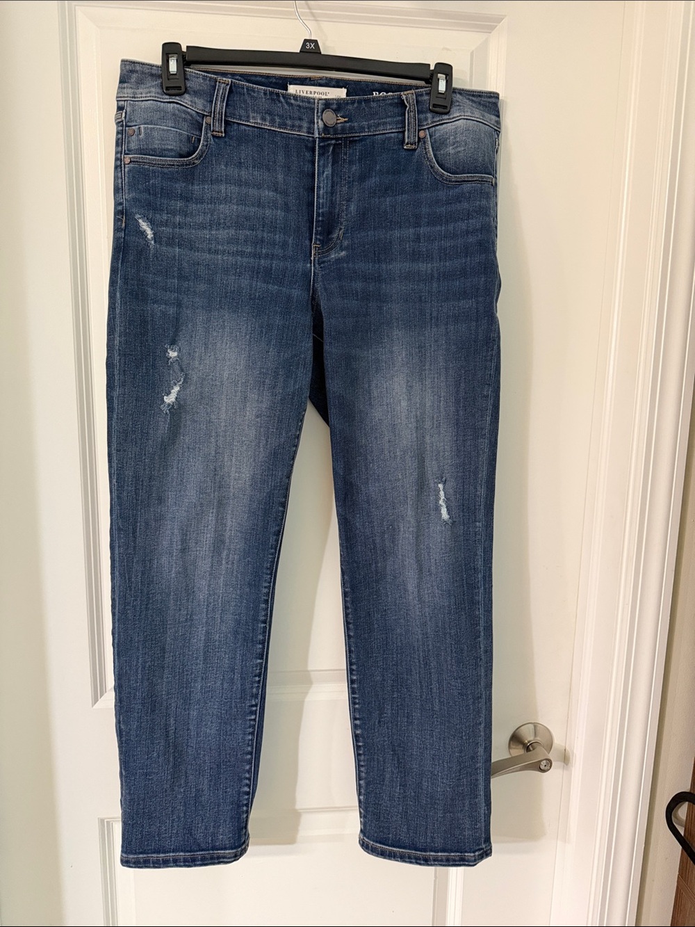 Liverpool Jeans Company Women's Straight Leg Jeans in Medium Wash Blue